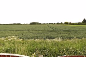 Photo 23- click for photo gallery